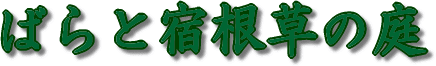 ばらと宿根草の庭