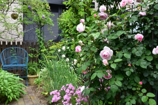 オリビアローズオースチン