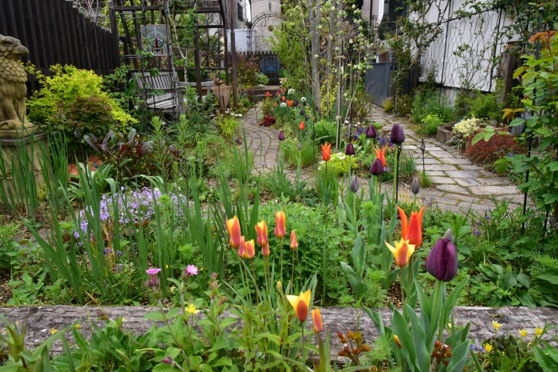 バレリーナとクインオブナイト